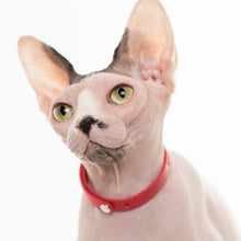 Charger l'image dans la galerie, Nuvuq Collier ajustable avec attache de sécurité pour chat, Rouge tomate