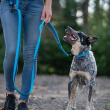 Charger l'image dans la galerie, Nuvuq Laisse multifonctionnelle pour chien, Bleu Bleuet