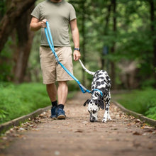 Charger l'image dans la galerie, Nuvuq Laisse multifonctionnelle pour chien, Bleu Bleuet