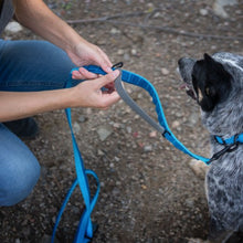 Charger l'image dans la galerie, Nuvuq Laisse multifonctionnelle pour chien, Bleu Bleuet