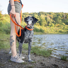 Charger l'image dans la galerie, Nuvuq Laisse multifonctionnelle pour chien, Orange tangerine