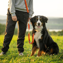 Charger l'image dans la galerie, Nuvuq Laisse multifonctionnelle pour chien, Orange tangerine