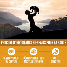 Charger l'image dans la galerie, ORIJEN Chiot Amazing Grains