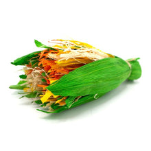 Charger l'image dans la galerie, (DON à la SPAE) Oxbow Enriched Life - Gâterie à mâcher pour rongeur - Bouquet de célébration