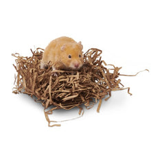 Charger l'image dans la galerie, Oxbow Enriched Life - Jeu interactif pour rongeur - Disques sui s'imbriquent