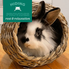 Charger l'image dans la galerie, Oxbow Timothy Club - Tunnel de foin Timothy