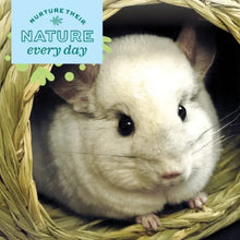 Charger l'image dans la galerie, Oxbow Timothy Club - Abri de foin Timothy