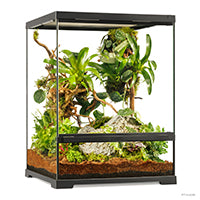 Charger l'image dans la galerie, Terrarium professionnel Exo Terra, habitat avancé naturel, petit/haut, 45 x 45 x 60 cm (18 x 18 x 24 po)