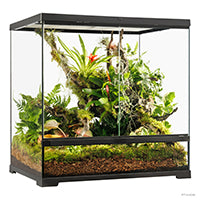 Charger l'image dans la galerie, Terrarium professionnel Exo Terra - habitat avancé naturel - moyen/haut - 60 x 45 x 60 cm (24 x 18 x 24 po)