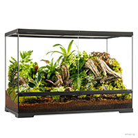 Charger l'image dans la galerie, Terrarium professionnel Exo Terra - habitat avancé naturel - moyen/large - 90 x 45 x 60 cm (35 x 18 x 24 po)