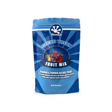 Charger l'image dans la galerie, Pangea Gecko Treat Gâteries avec bananes et papayes