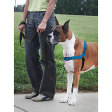 Charger l'image dans la galerie, PetSafe Harnais pour chien deluxe "Easy Walk" - Bleu