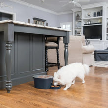 Charger l'image dans la galerie, Petsafe Distributeur six repas