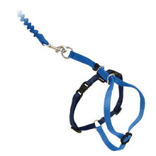 Charger l'image dans la galerie, Petsafe Harnais et laisse bungee pour chat - Come With Me Kitty - Bleu