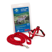 Charger l'image dans la galerie, Petsafe Harnais et laisse bungee pour chat - Come With Me Kitty - Rouge
