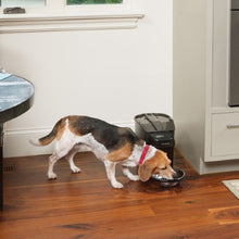Charger l'image dans la galerie, Petsafe "Healthy Pet Simply Feed" Distributeur de nourriture automatique