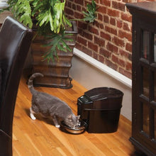 Charger l'image dans la galerie, Petsafe "Healthy Pet Simply Feed" Distributeur de nourriture automatique