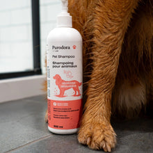 Charger l'image dans la galerie, Purodora Lab - Shampoing dégraisseur pour animaux