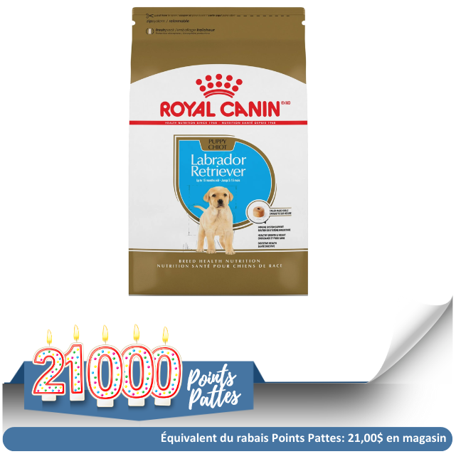 Royal Canin pour chiot Labrador