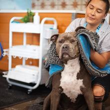 Charger l'image dans la galerie, Messy Mutts Tapis de séchage et serviette en microfibre avec poches pour les mains