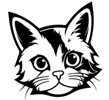 Charger l'image dans la galerie, Tasse en céramique-Thème animaux-Chat noir et blanc