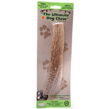 Charger l'image dans la galerie, Ramure à mastiquer Urban Dog pour chiens