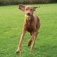 Charger l'image dans la galerie, Zeus jouet Nitro - Balle lestée