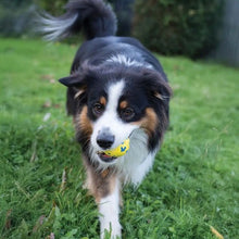 Charger l'image dans la galerie, Zeus jouet Nitro - Balle lestée
