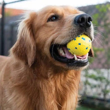 Charger l'image dans la galerie, Zeus jouet Nitro - Balle lestée
