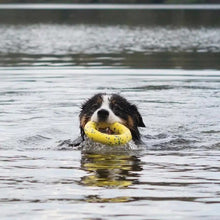 Charger l'image dans la galerie, Zeus jouet Nitro - Anneau