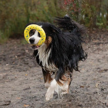 Charger l'image dans la galerie, Zeus jouet Nitro - Anneau