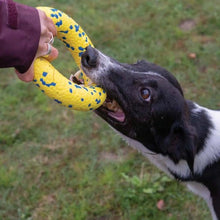Charger l'image dans la galerie, Zeus jouet Nitro - Anneau