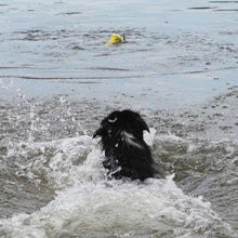 Charger l'image dans la galerie, Zeus jouet Nitro - Bouée lestée avec corde