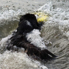 Charger l'image dans la galerie, Zeus jouet Nitro - Disque volant