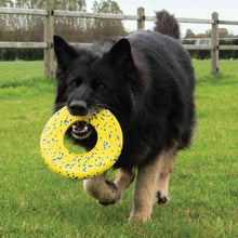 Charger l'image dans la galerie, Zeus jouet Nitro - Disque volant