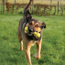 Charger l'image dans la galerie, Zeus jouet Nitro - Os flexible