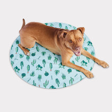 Charger l'image dans la galerie, ICE MAT™ - Tapis de refroidissement - Cactus aqua
