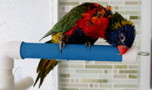 Charger l'image dans la galerie, Perchoir repliable pour douche ou fenêtre ACTIVE.PLAY HARI, petit