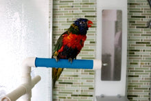 Charger l'image dans la galerie, Perchoir repliable pour douche ou fenêtre ACTIVE.PLAY HARI, petit