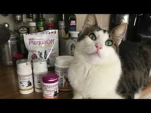 Charger et lire la vidéo dans la visionneuse de la Galerie, Plaque Off - Poudre dentaire pour chats 40 g