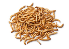 Charger l'image dans la galerie, PICARDIE VERS DE FARINE 500GR