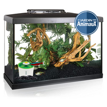 Charger l'image dans la galerie, Abreuvoir pour poisson Fishit