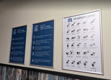 Charger l'image dans la galerie, Rendez-vous canins - Spécial St-Valentin