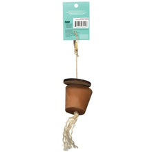 Charger l'image dans la galerie, Oxbow Enriched Life - Centre Interactif Pour Rongeur, Pot De Fourrage