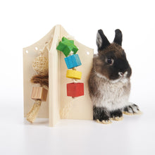 Charger l'image dans la galerie, Oxbow Enriched Life Centre Interactif Pour Rongeur, Centre De Jeu