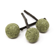 Charger l'image dans la galerie, Oxbow Enriched Life - Gâterie à Mâcher Pour Rongeur, Sucettes Fléole Des Prés Pqt 3