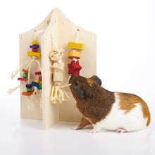 Charger l'image dans la galerie, Oxbow Enriched Life Centre Interactif Pour Rongeur, Centre De Jeu