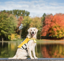 Charger l'image dans la galerie, Veste de flottaison pour chien (M) - Life Jacket - GF Pet