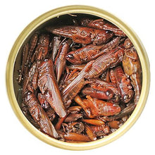 Charger l'image dans la galerie, Aliments en conserve Exo Terra, Sauterelles, 34 g (1,2 oz) - Boutique Le Jardin Des Animaux -nourriture reptileBoutique Le Jardin Des AnimauxPT1950