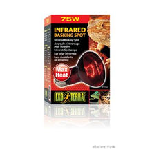 Charger l'image dans la galerie, Ampoule à infrarouge Exo Terra pour lézarder, R20, 75 W - Boutique Le Jardin Des Animaux -Eclairage reptileBoutique Le Jardin Des AnimauxPT2142